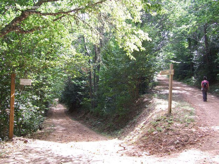 Bosque de la Honfría, Linares