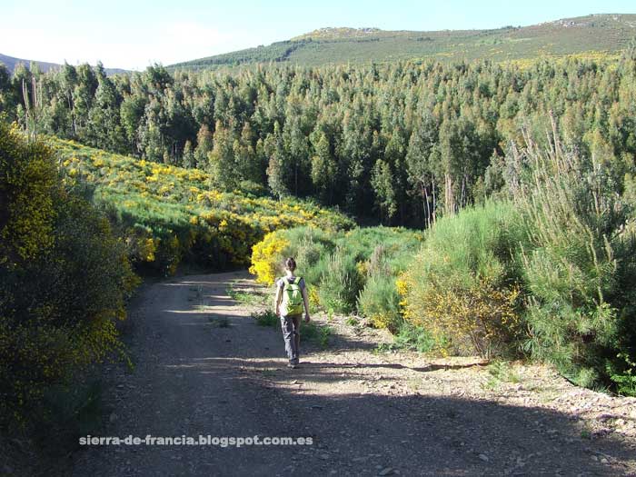 caminando en los montes de garcibuey