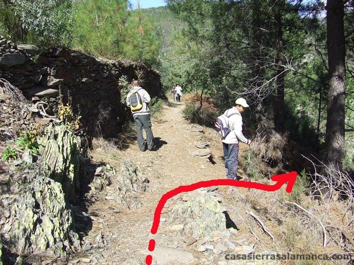 desvio para bajar a la cascada de ovejuela