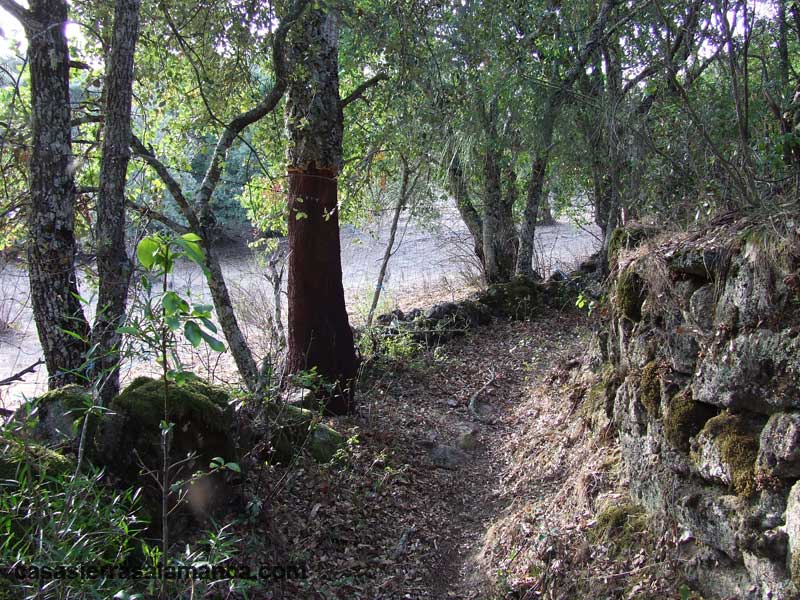 antiguo camino hacia el puente de Pinedas