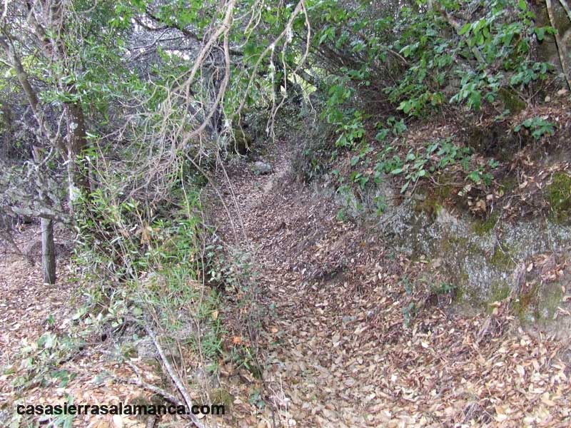 antiguo camino hacia el puente de Pinedas