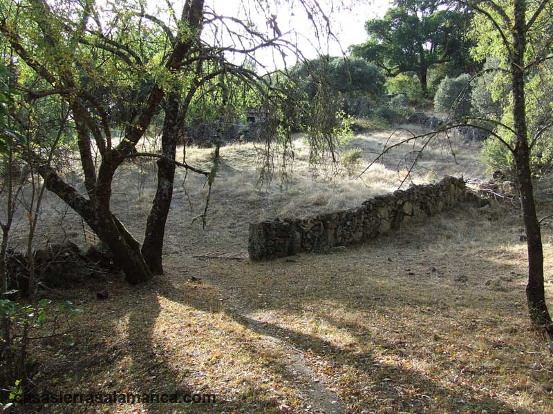 antiguo camino hacia el puente de Pinedas