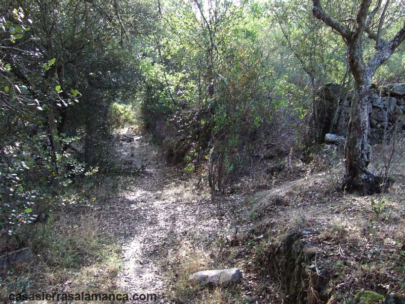 antiguo camino hacia el puente de Pinedas