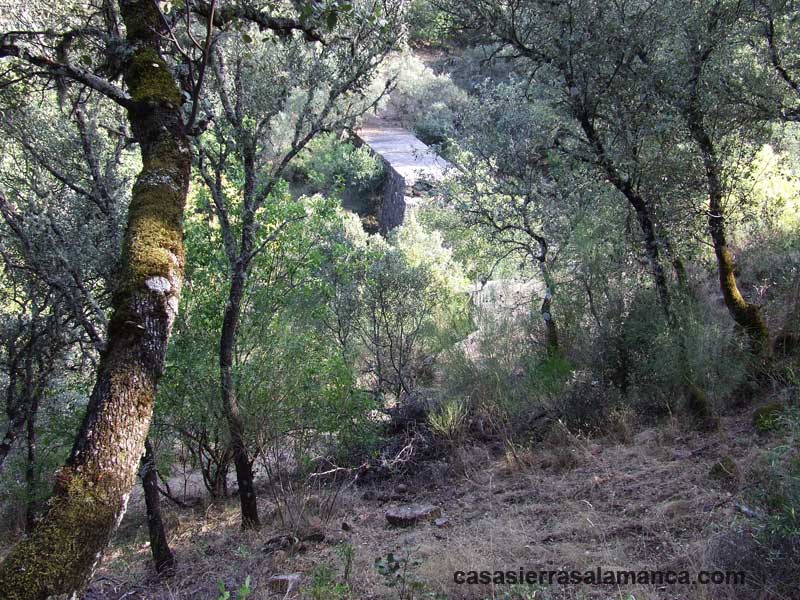 puente de Pinedas