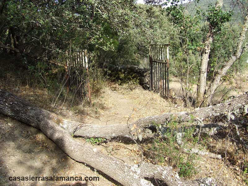 antiguo camino hacia el puente de Pinedas