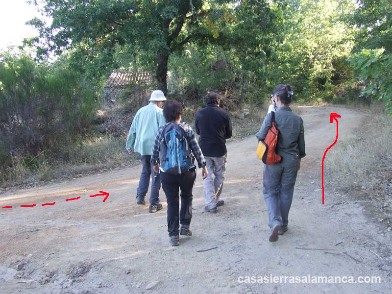 ruta miranda del castañar río alagón, desvio