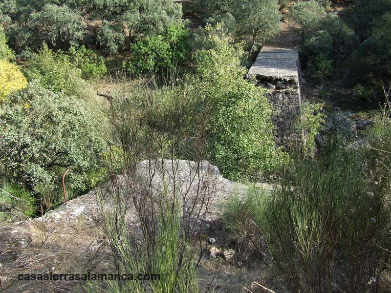 antiguo puente entre Pinedas y miranda del castañar