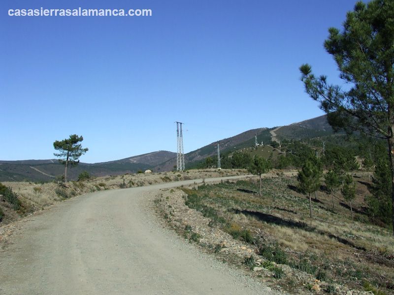 pista forestal